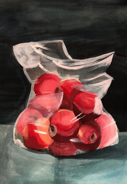 Apples in Bag
